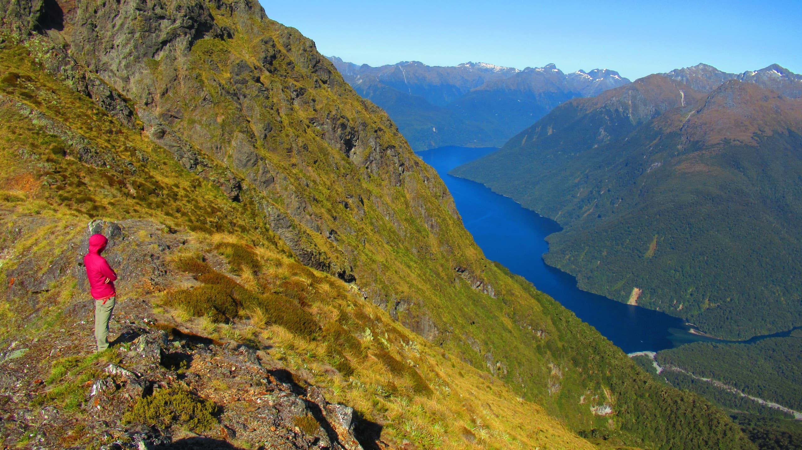 Dore Pass Alpine Traverse: Fiordland's One-Day Alpine Crossing from Te Anau