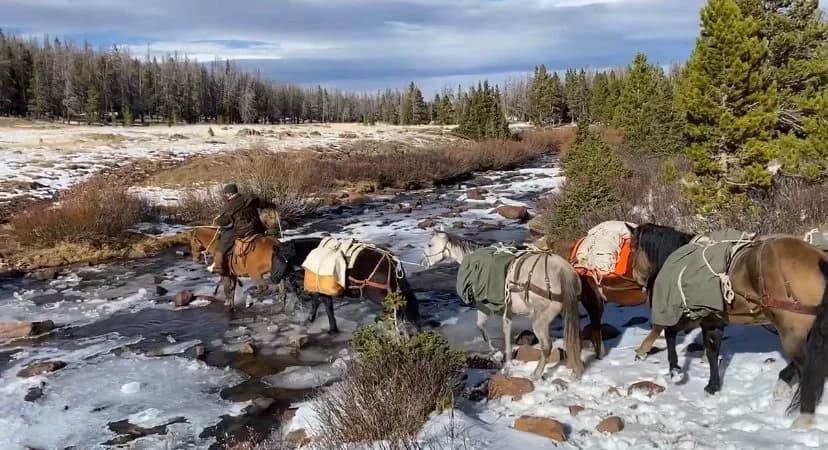 1-Hour Trail Ride Near Kamas Utah — Beginner Horseback Adventure