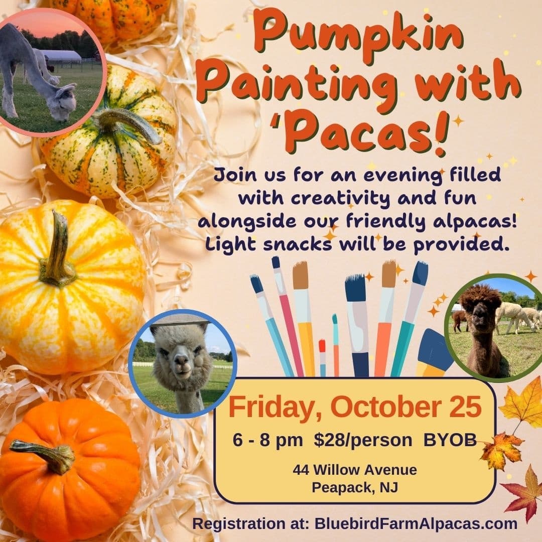Painting Pumpkins with 'Pacas in Peapack & Gladstone, NJ