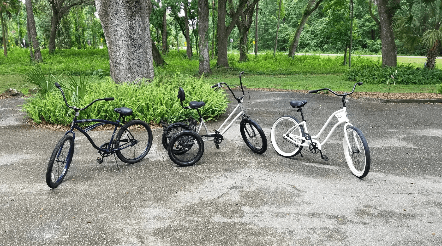 Bike Adventures at TNT Hideaway: Scenic Rides along Hwy 98