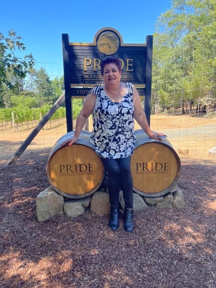 Wine Tours with We Drive in Sonoma & Napa Counties