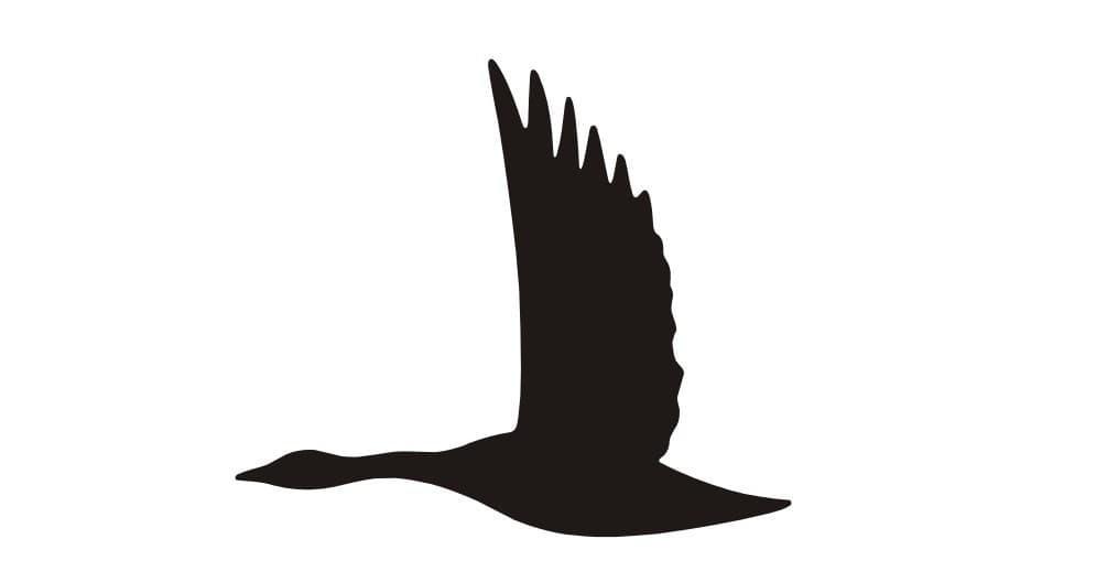 Wild Goose II team