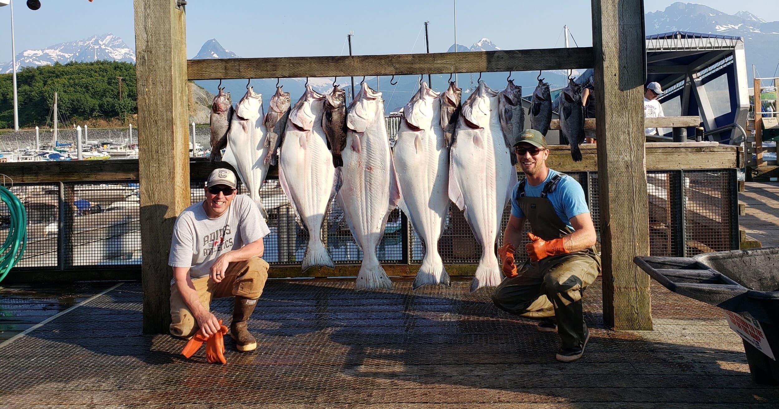 Big Alaska Fishing Charters fleet