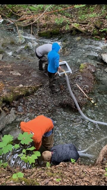 Team sluicing and prospecting in a forest creek, Alaska backcountry