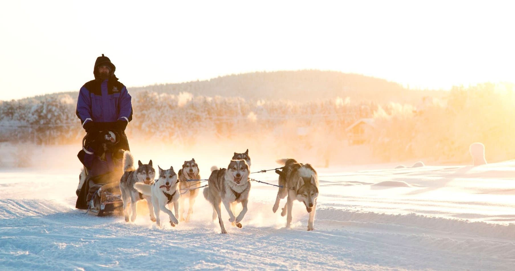 Winter Wildlife & Land Adventures: Husky Safari at Northern Lights Village Pyhä