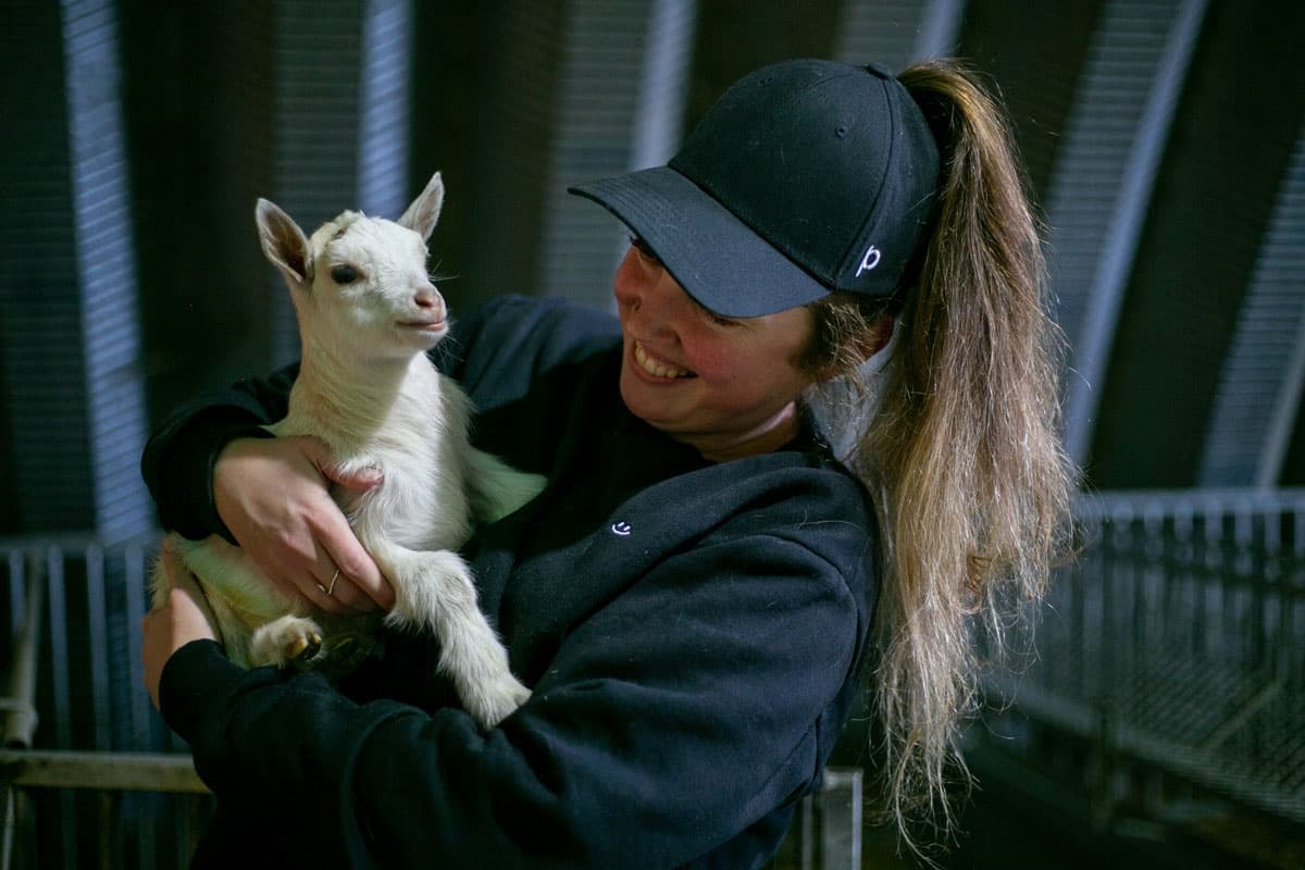 Experience Goat Cuddles: A Charming Farm Adventure Near Bright, Ontario