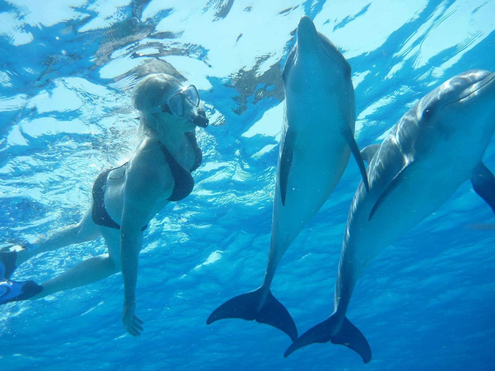 Speedboat Cruise with Sardinia Natural Park Tours