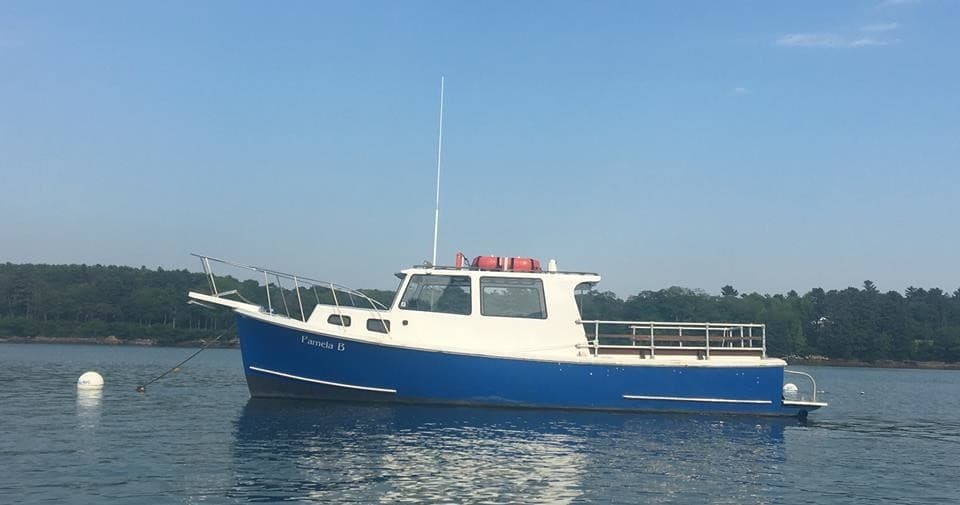 Blue tour boat anchored in calm coastal island harbor waters
