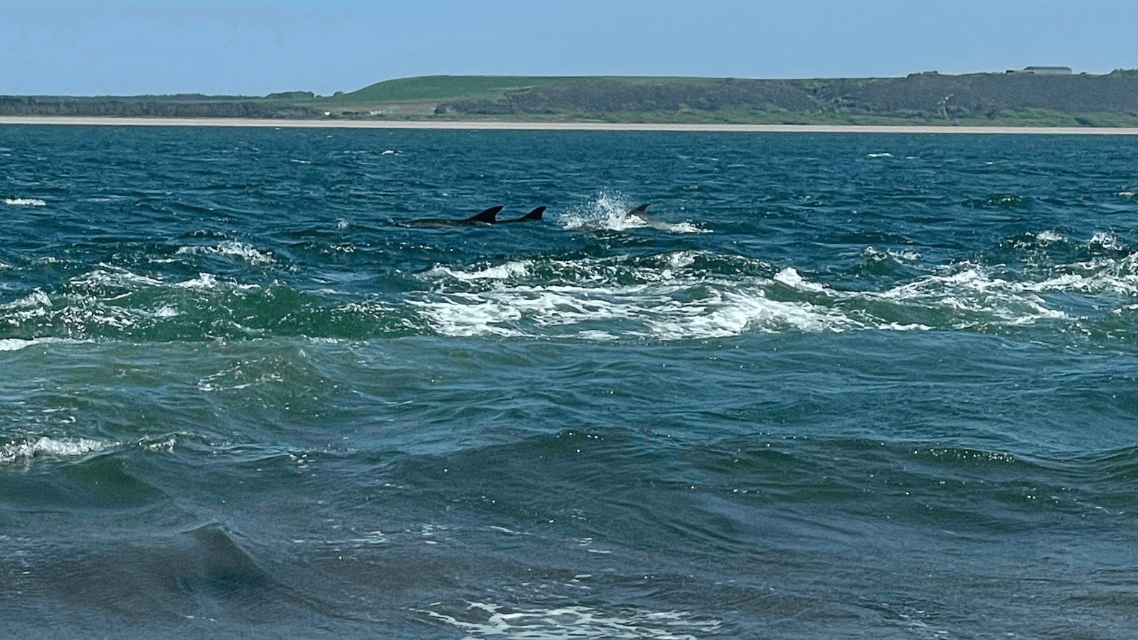 Discover the Black Isle: Explore History, Wildlife, and Legends from Inverness