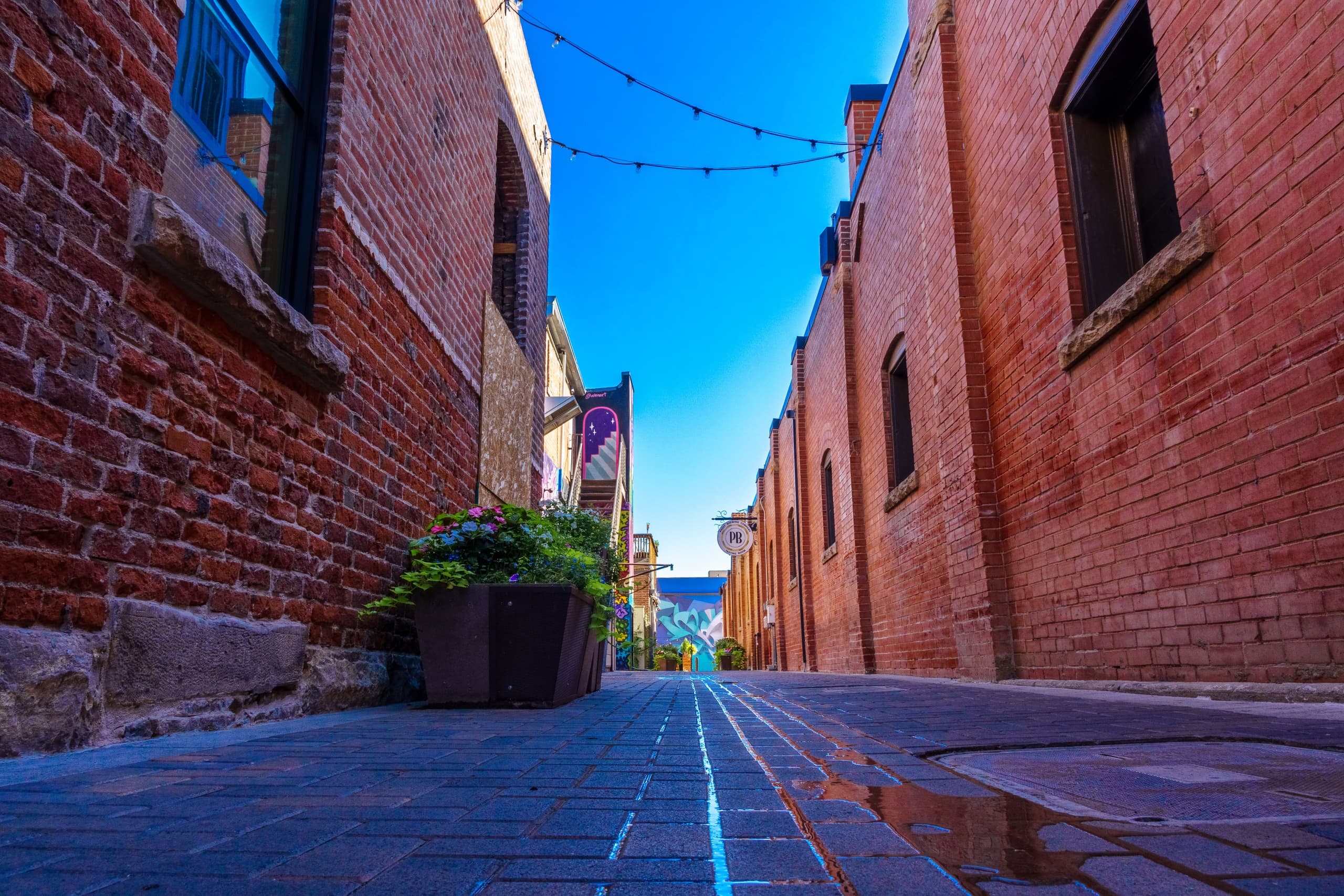 Low-angle brick alley in historic downtown for pedestrian strolls