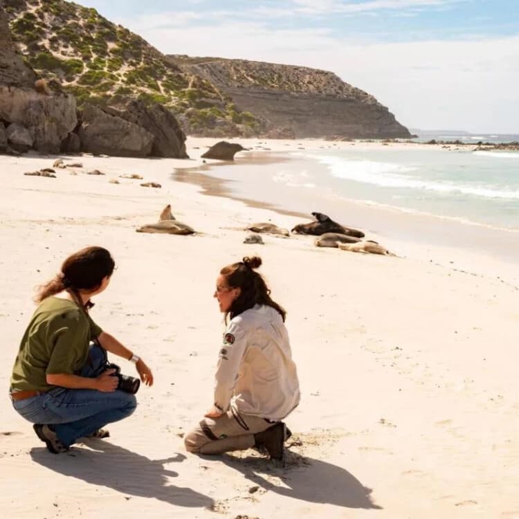 Kangaroo Island Day Tour: Seal Bay, Remarkable Rocks & Admirals Arch