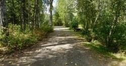 Camping at Montana Creek Campground - A Forest Retreat