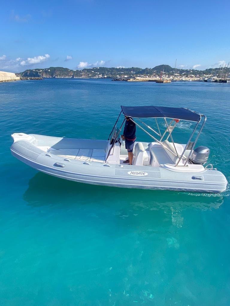 Inflatable RIB cruising turquoise waters with sunny mountain view