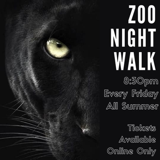 Night Walk at Georgia Untamed Zoo in Hogansville