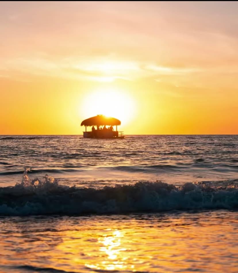 1.5 Hour Sunset Tour | Boat Tour in St. Petersburg, Florida
