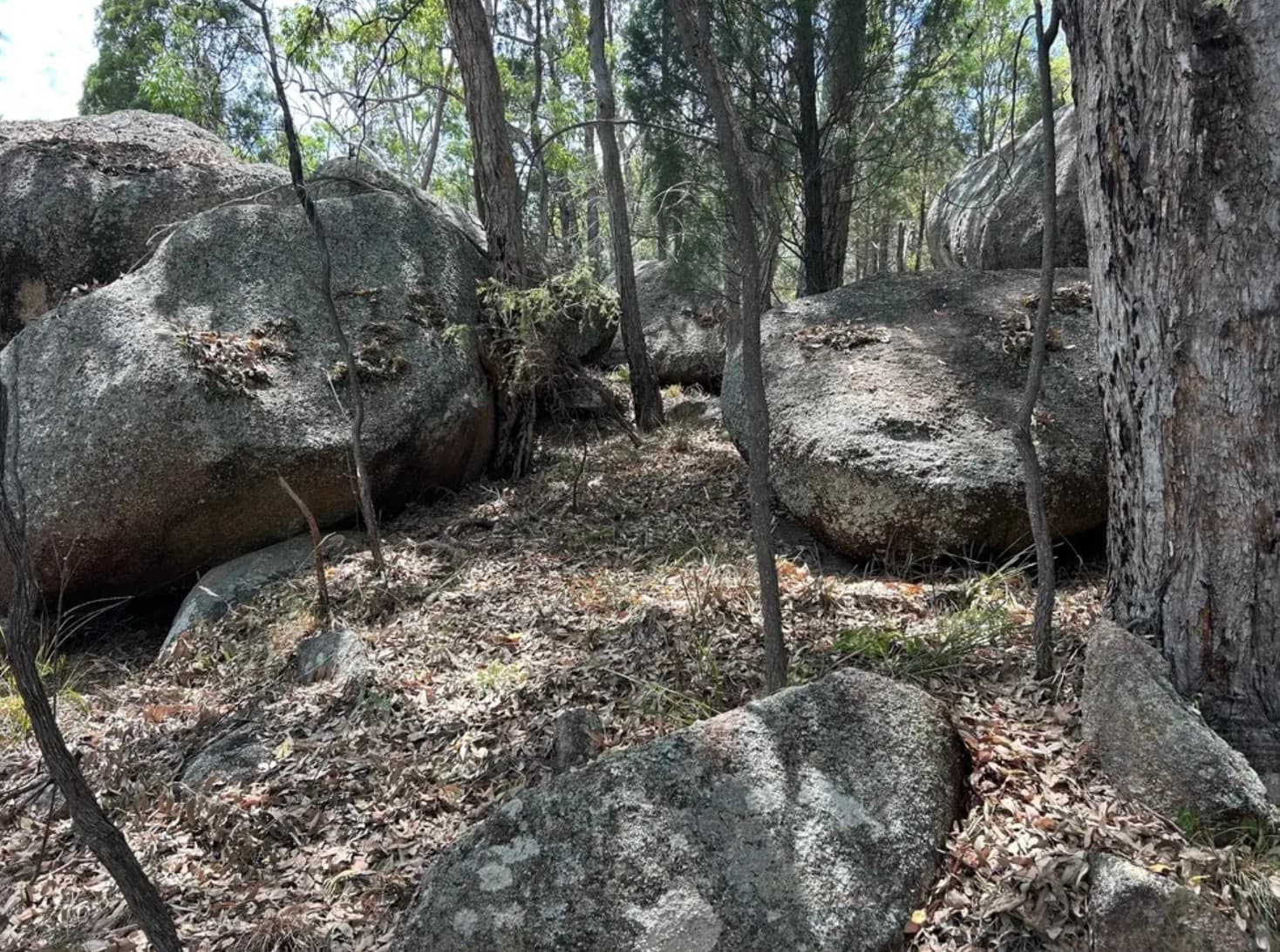 Stanthorpe to Ballandean Heritage Train: Family-Friendly Granite Belt Rail Trip photo 3