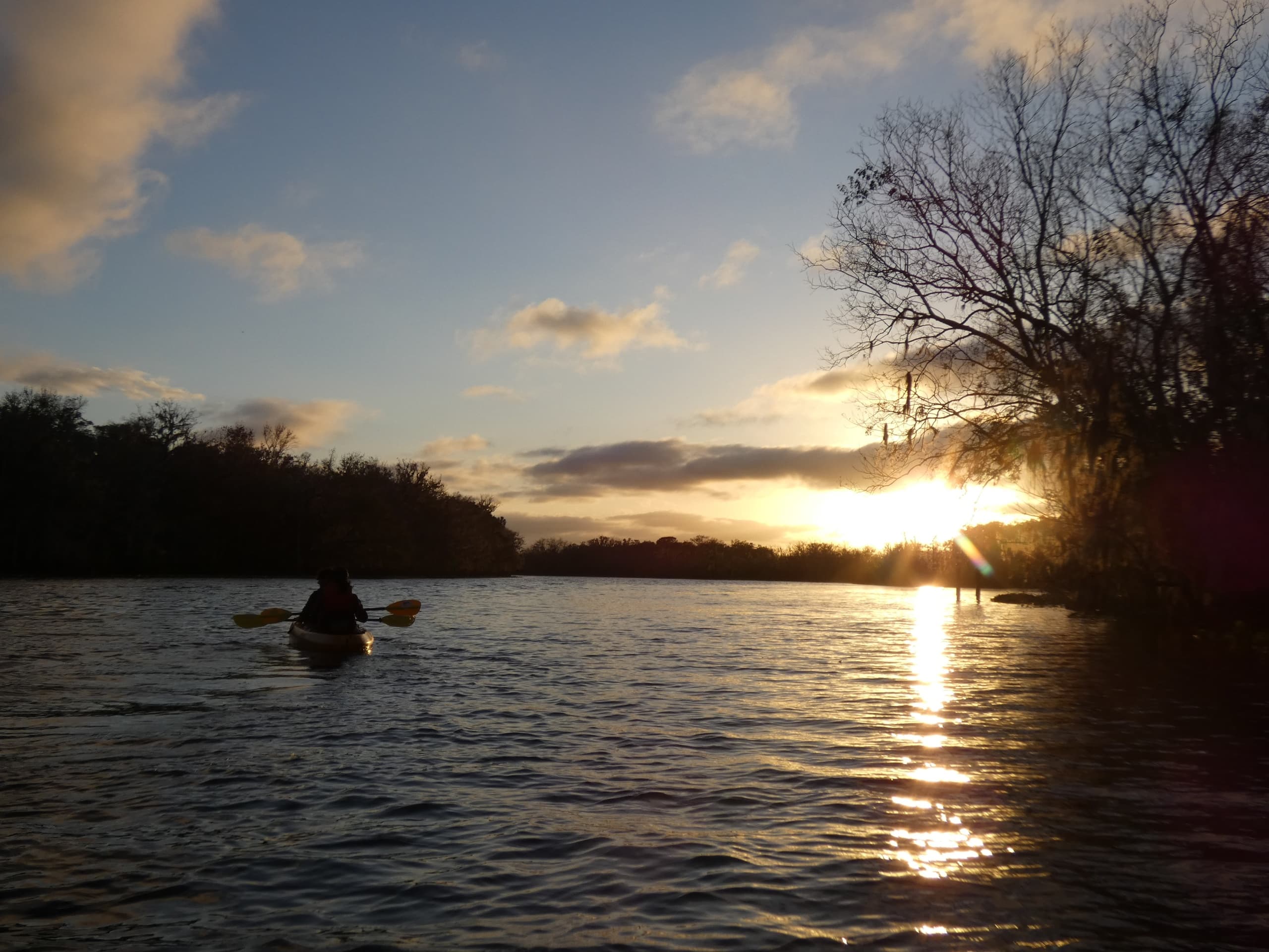 Sunset Paddle Among Manatees at Blue Spring State Park: A Magical Florida Kayaking Experience