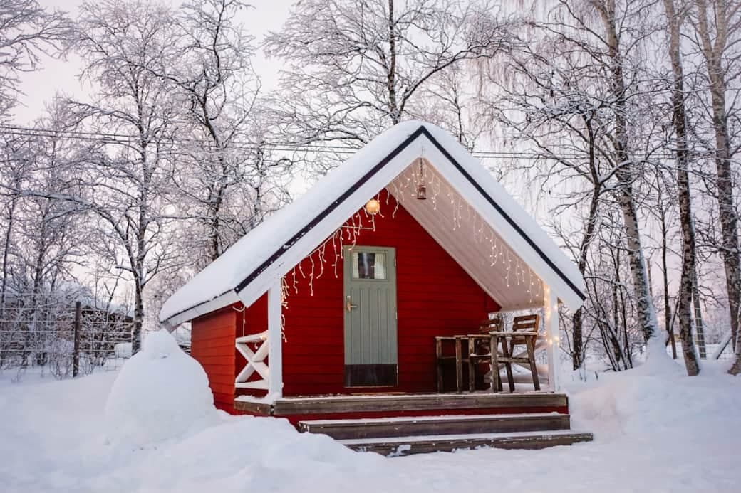 Red winter cabin surrounded by snow-covered birch forest
