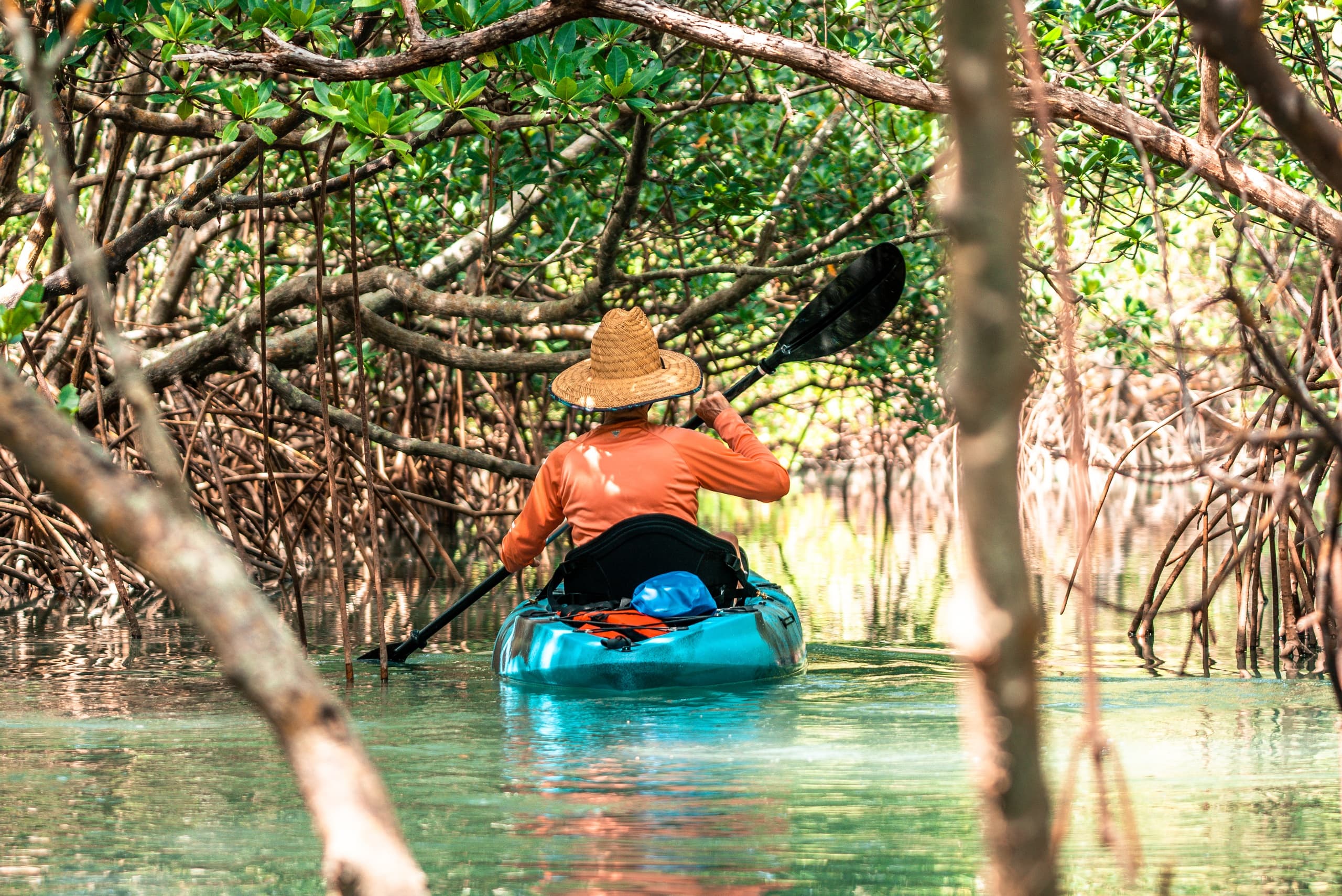 Two Hour Kayak & SUP Rental in Fort Pierce, Florida