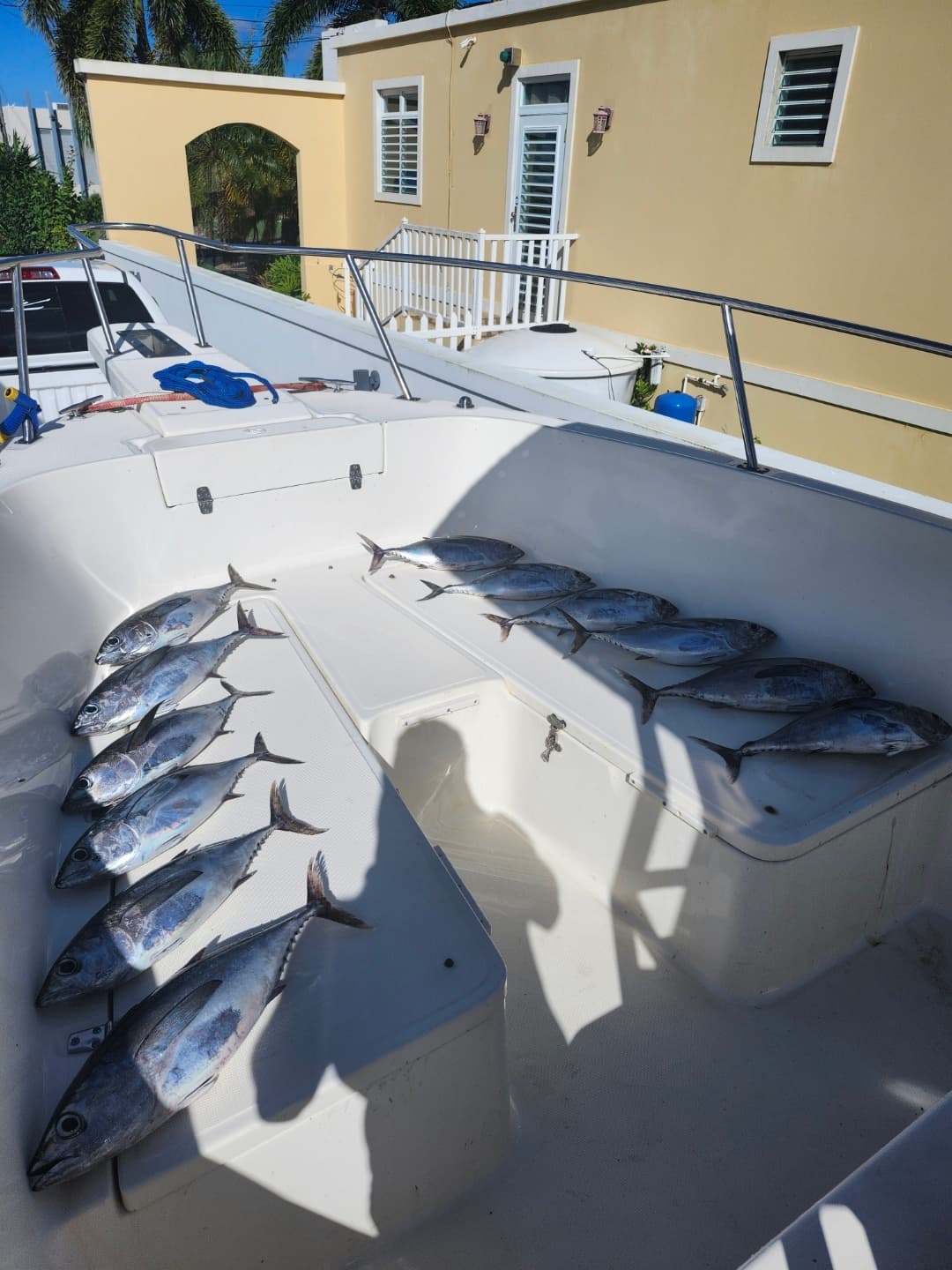 Offshore Fishing Adventures with Isla Oeste Charters