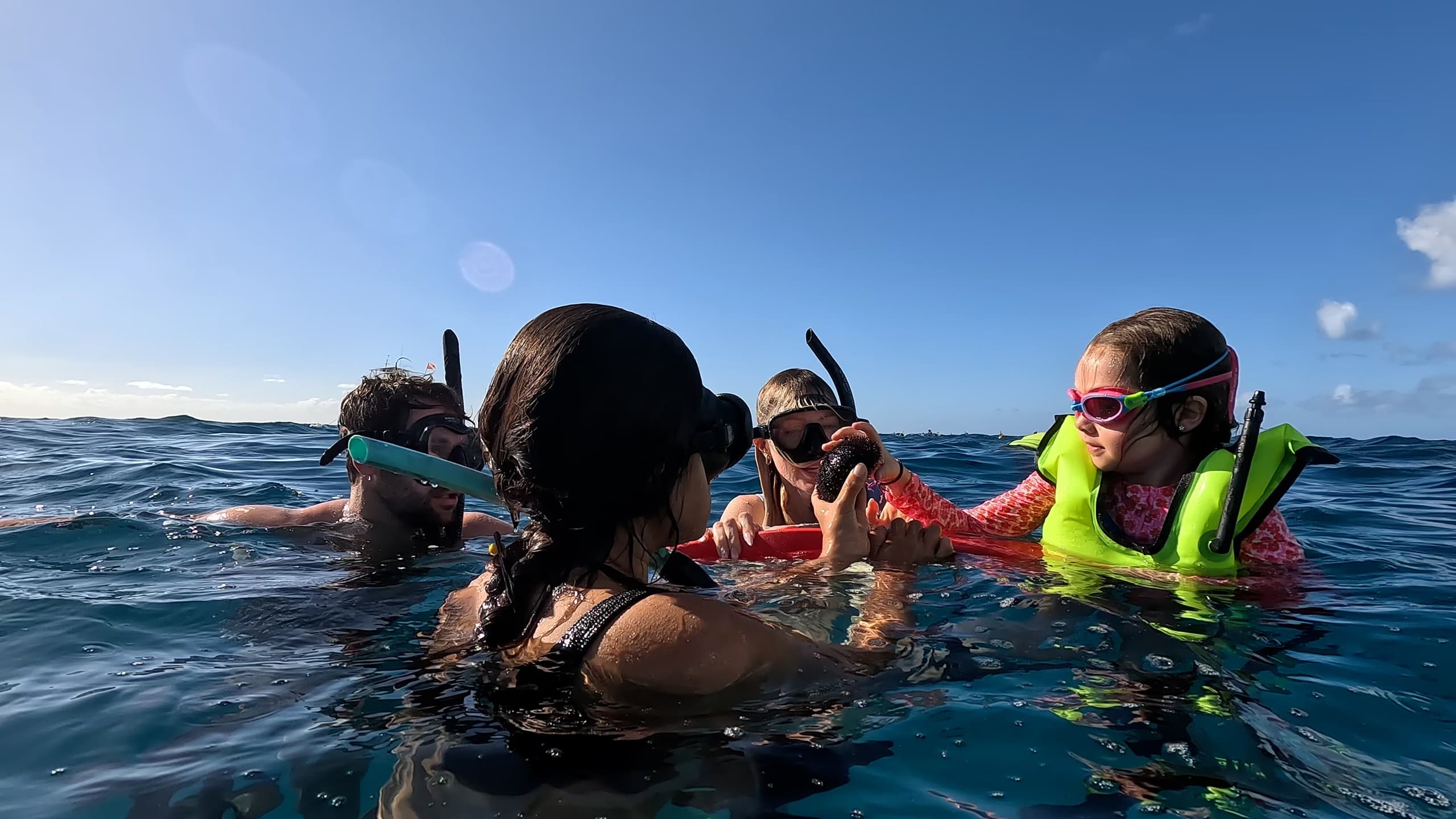 Private Snorkel Excursion in Turtle Canyon, Honolulu