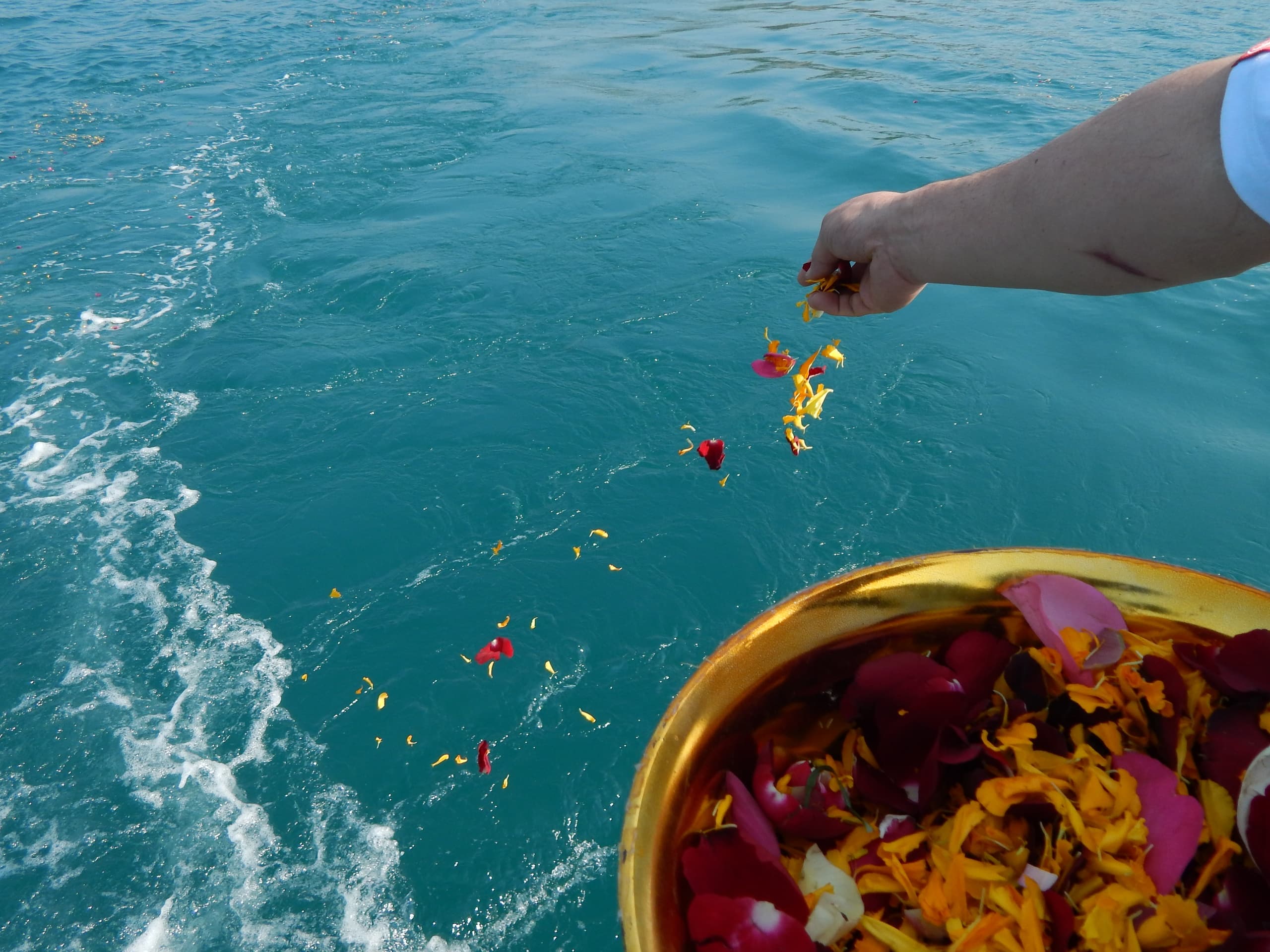 Ashes Scattering with Maverick Boat Adventures in Northumberland