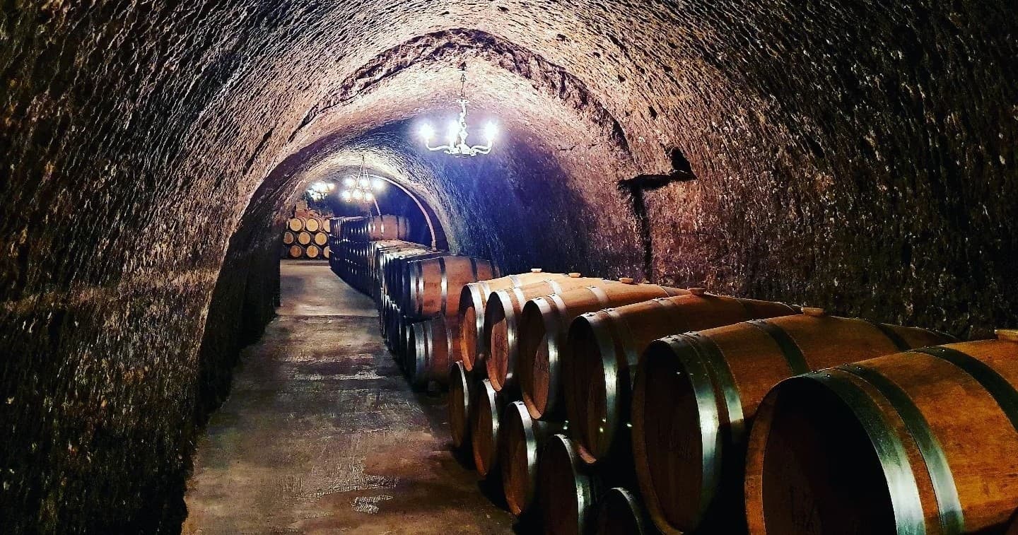 Ribera del Duero al Completo — Private Wine Tour from Madrid through Biodynamic Bodegas