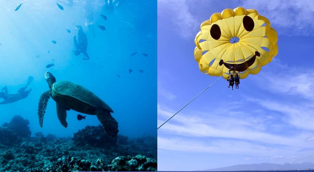 Parasailing & Snorkel Adventure in Honolulu, Hawaii