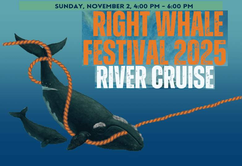 Wildlife & Water: Right Whale Festival Fundraiser with Amelia River Cruises
