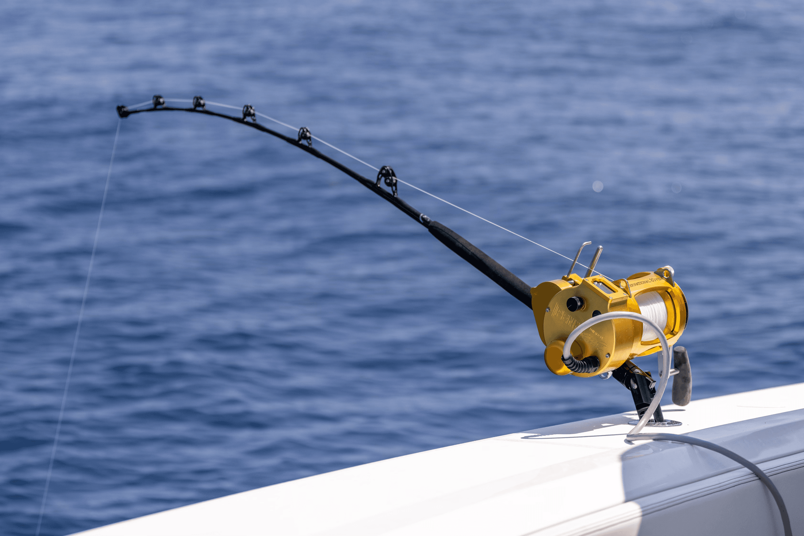 Pulley Ridge Swordfishing: Daytime Gulf Swordfish Charter from Naples