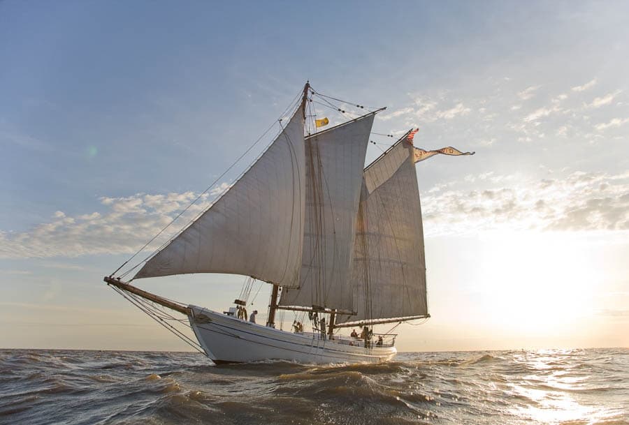 Savor the New Jersey Oyster Festival: Fresh Shellfish, Bluegrass, and Bayshore Charm