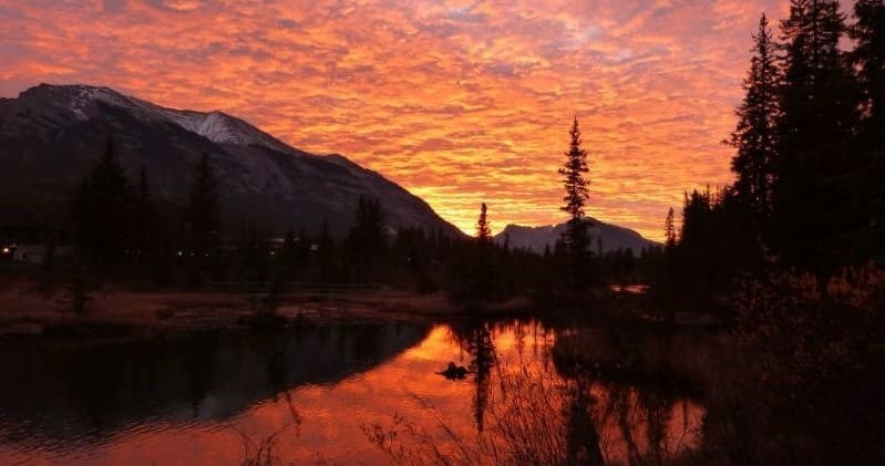 Mid-Summer Sunset Tour in Telluride, Colorado