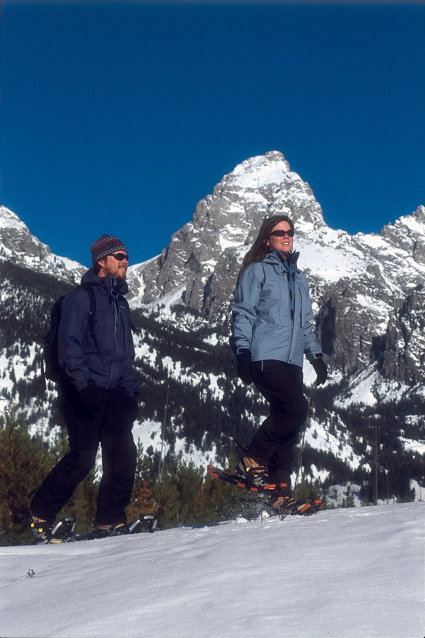 Winter Wildlife & Scenic Snowshoe Tour with Jackson Hole Eco Tour Adventures