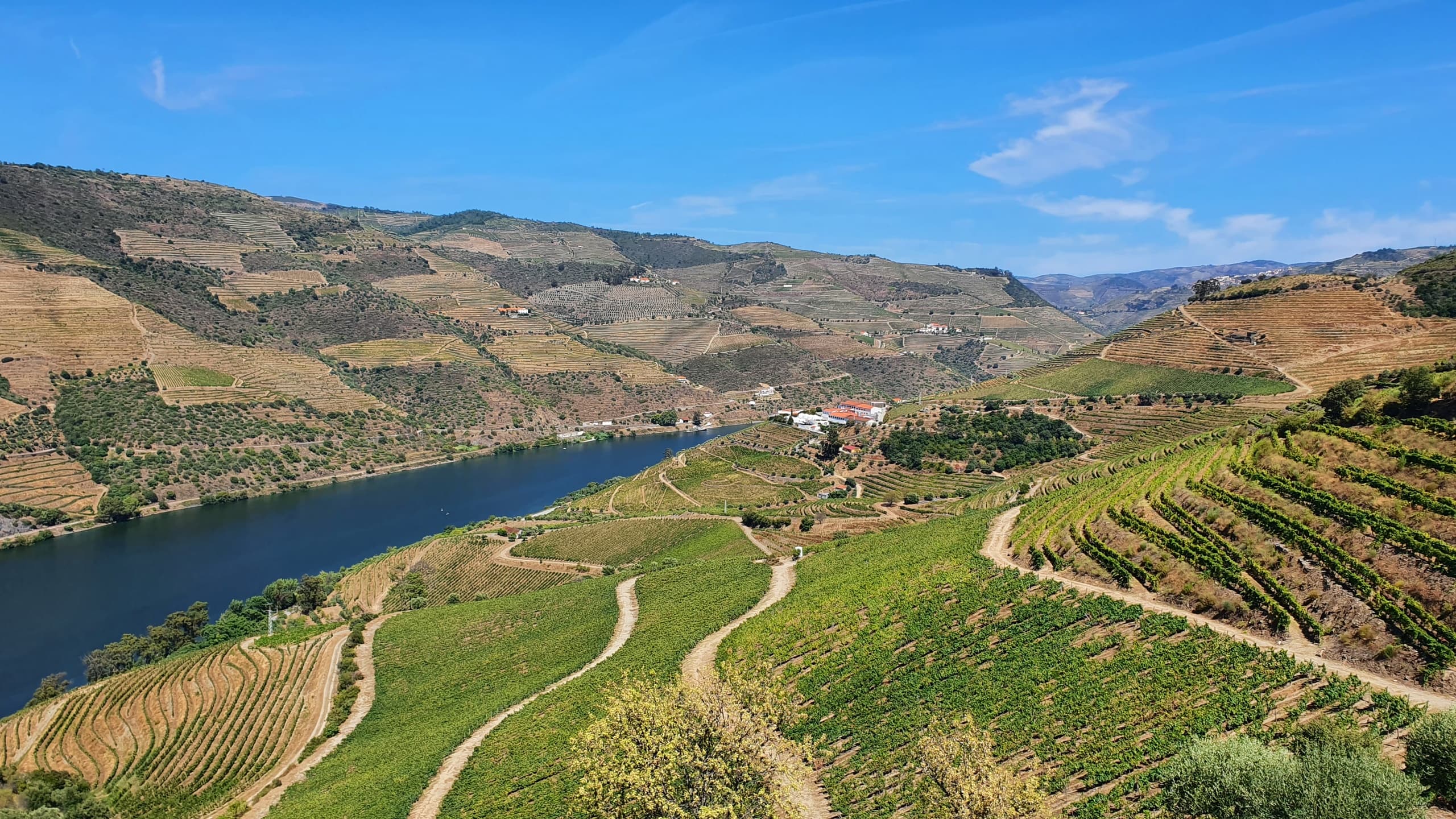 Douro Valley Wine & River Adventure with Go Travel Everywhere