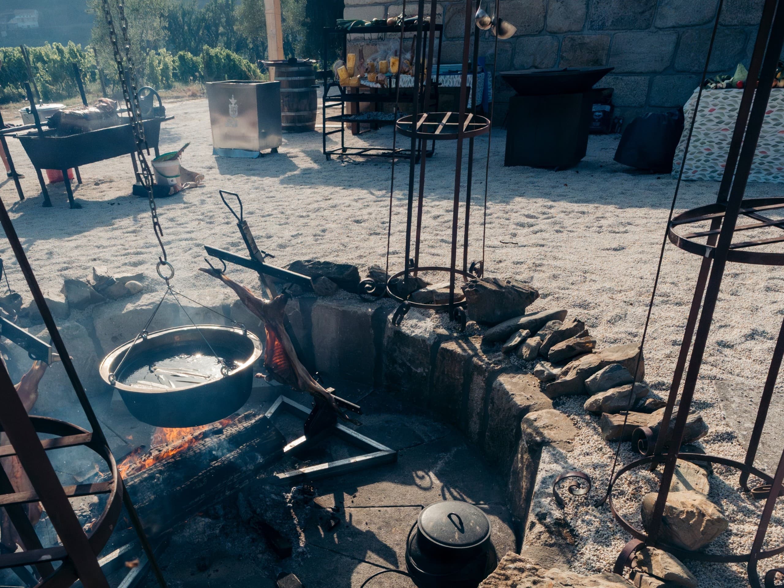 Vine & Flame at Quinta da Pacheca: Wine Tasting and Fire-Cooked Lunch in the Douro photo 2