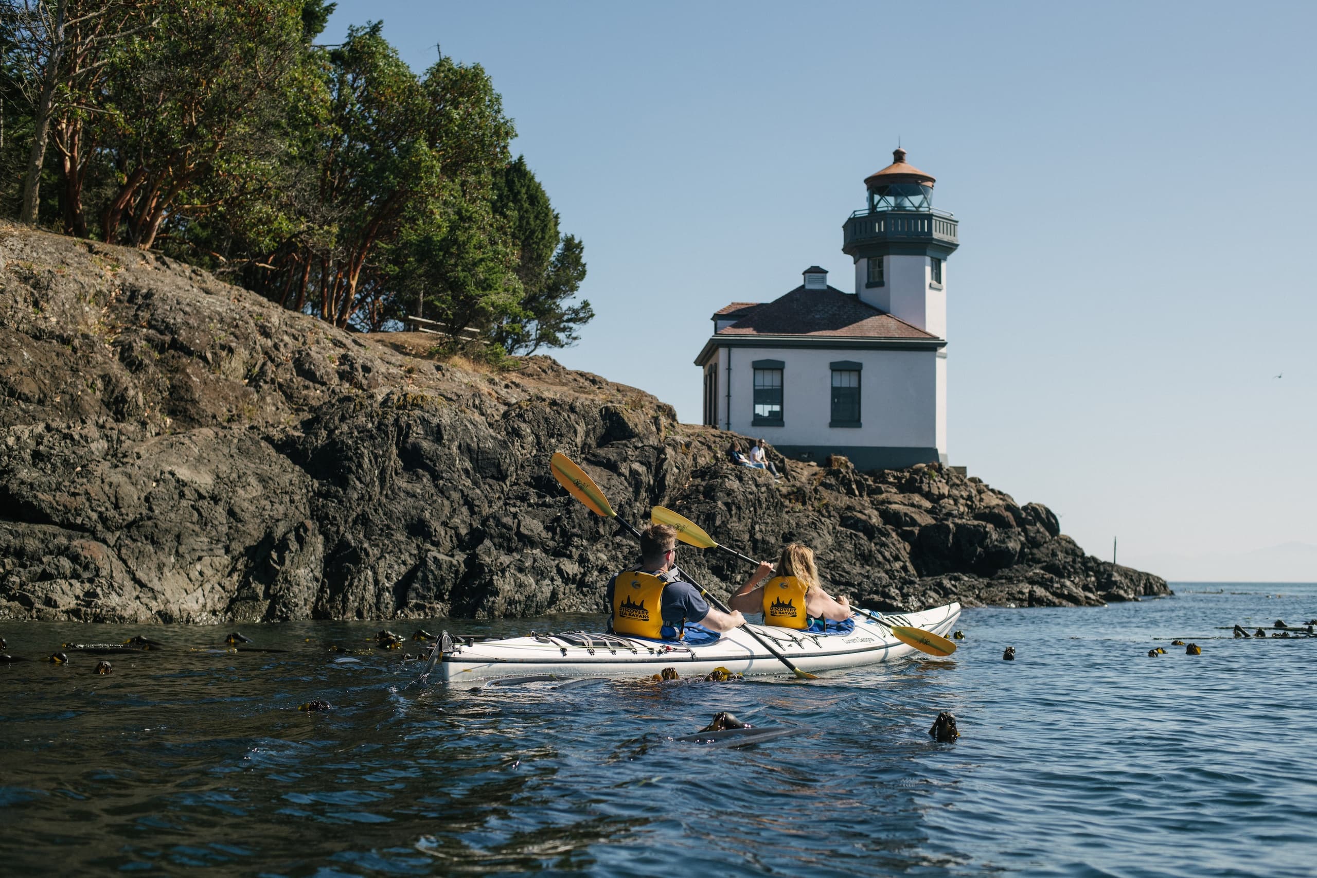 Half Day Kayak Tour