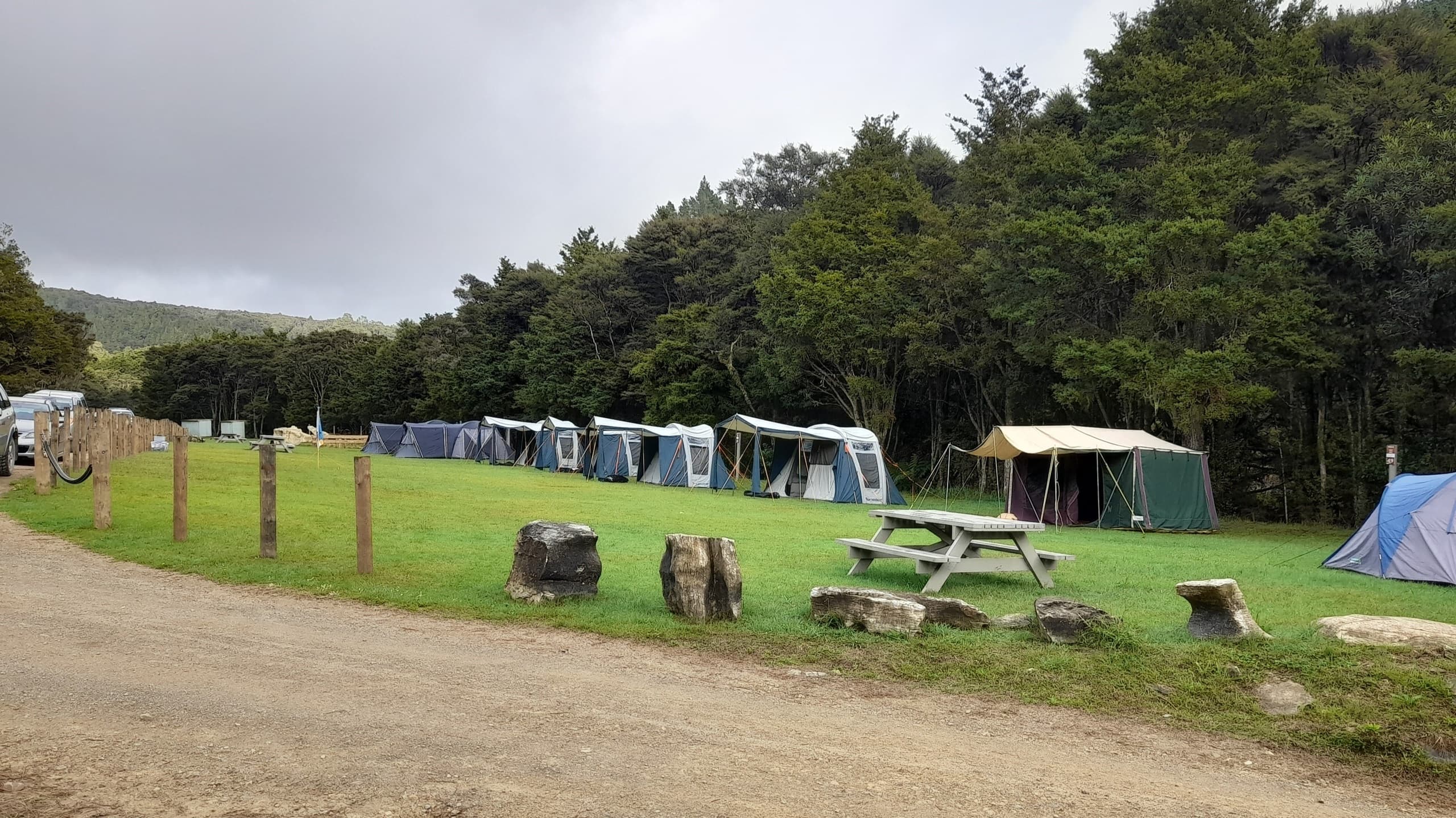 Seaside campground with tents and picnic tables on grass