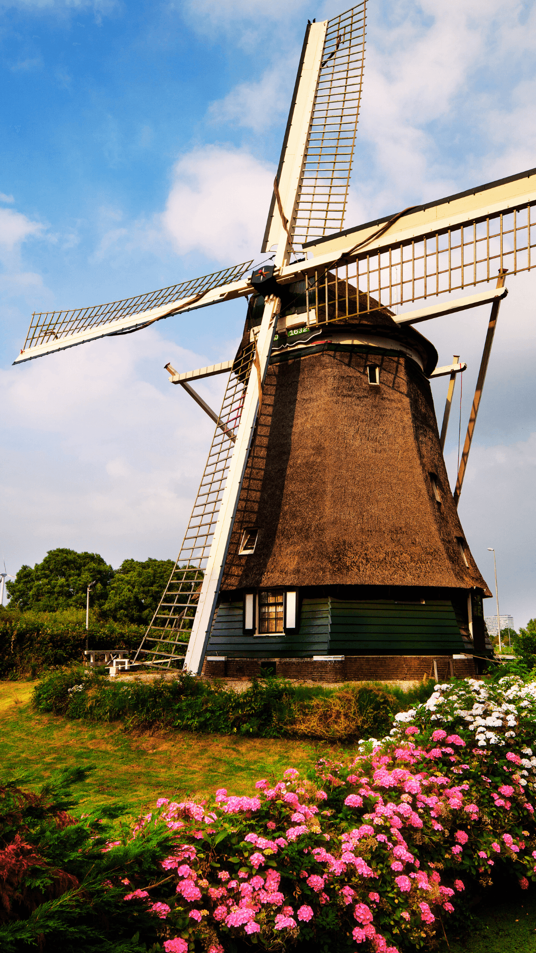 Historic Dutch windmill by flower garden, countryside photo op