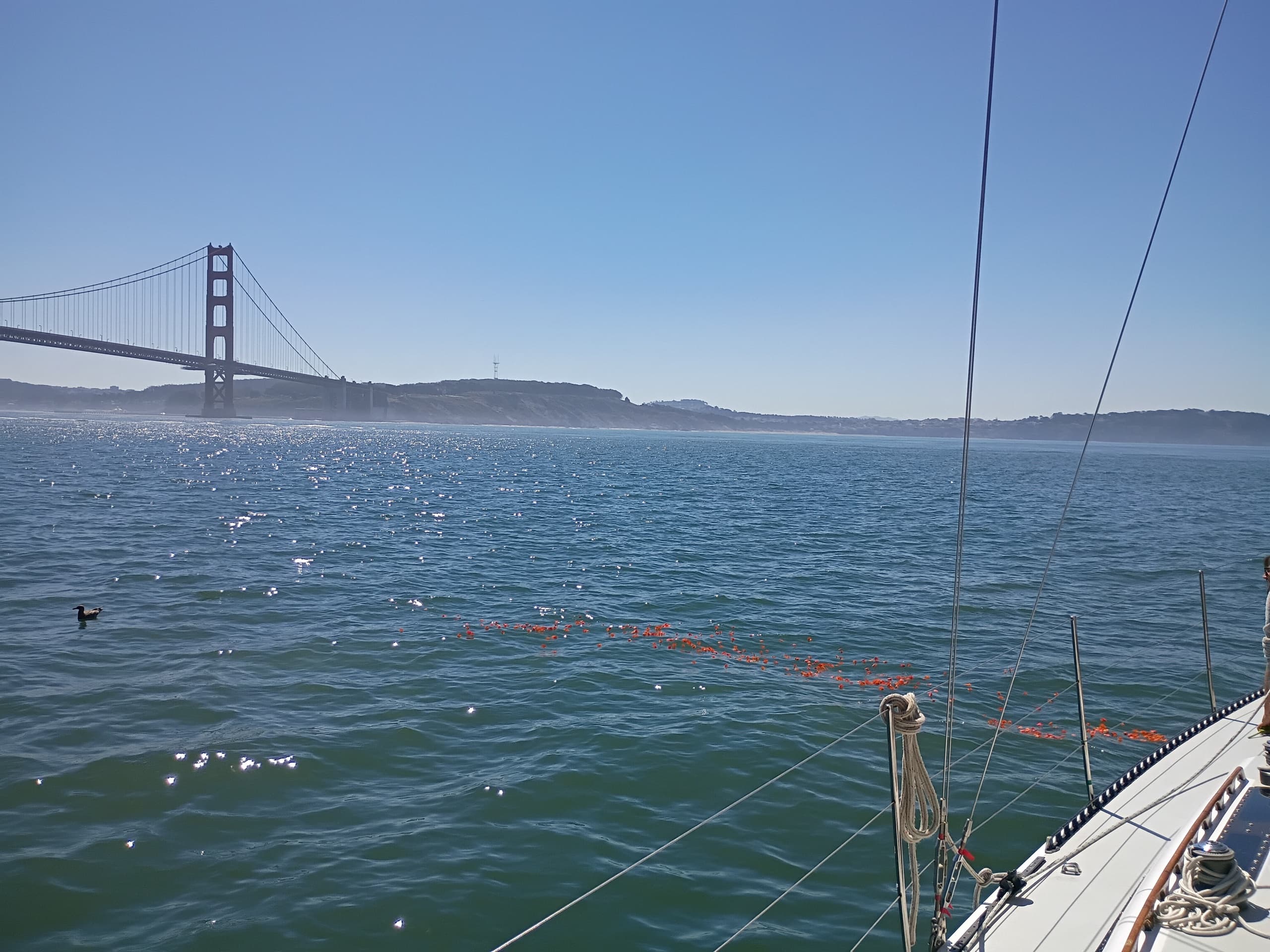 Private Memorial and Ash Scattering on San Francisco Bay — A Quiet Sail from Sausalito