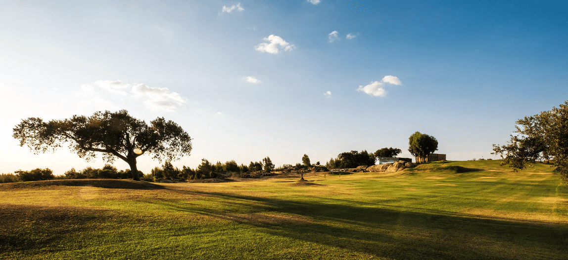 Sip and Savor at Herdade da Rocha: Classic Wine Tasting with Chef’s Lunch in Alentejo