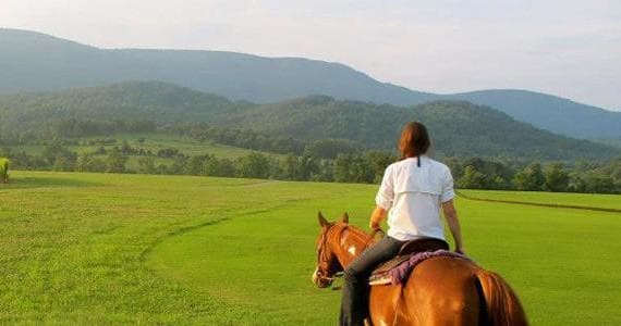 Guided Horseback Rides in Charlottesville Countryside