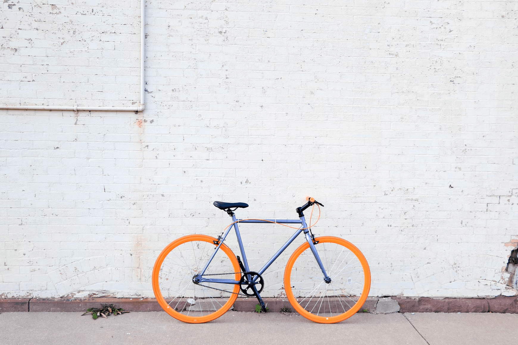 Four Hour Bike Rental Adventure in Tempe, Arizona