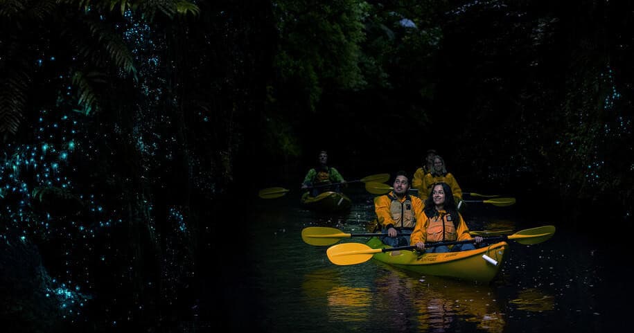 Water Activities: Riverside Adventures Waikato's Twilight Glow Worm Kayak Tour