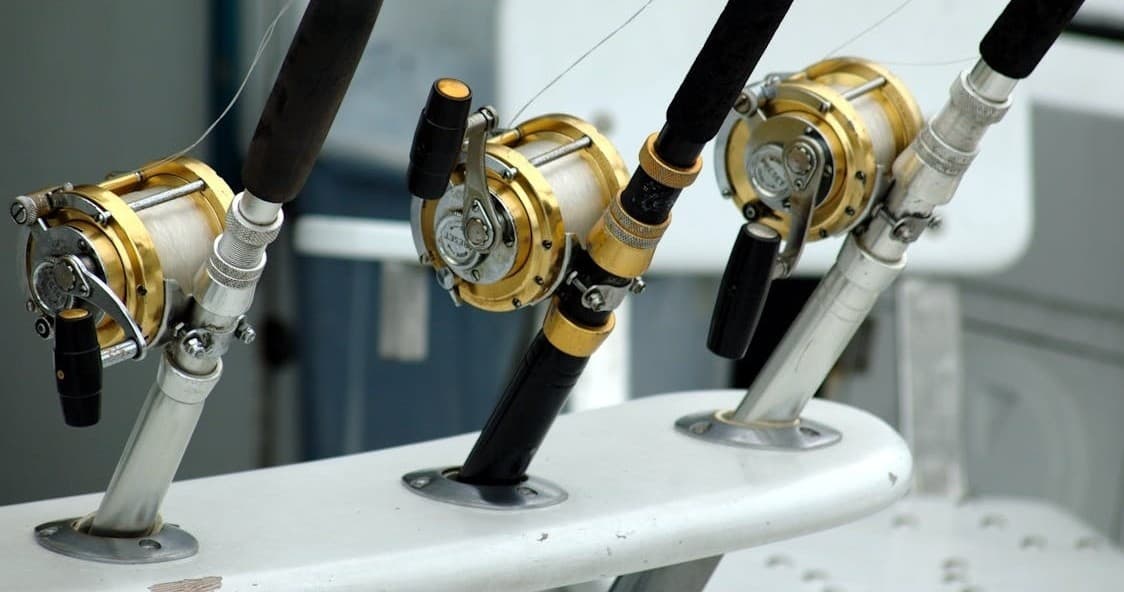 Backwater Fishing Adventure at 10,000 Islands with Family Friendly Charters