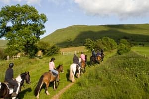 Full Day Horseback Trek with Tregoyd Mountain Riders