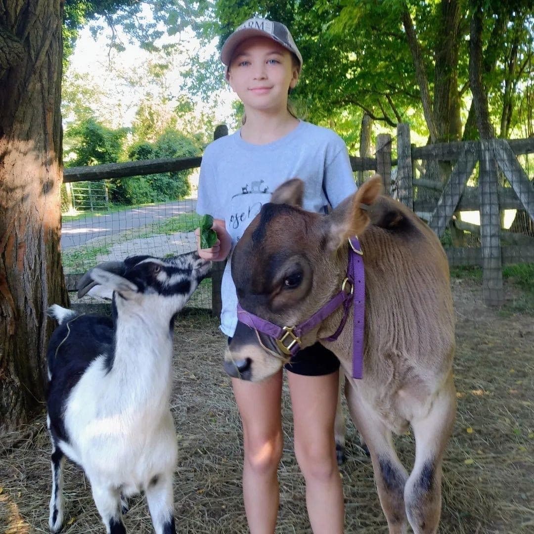 Farm Animal Husbandry Program for Kids in Dresher, PA