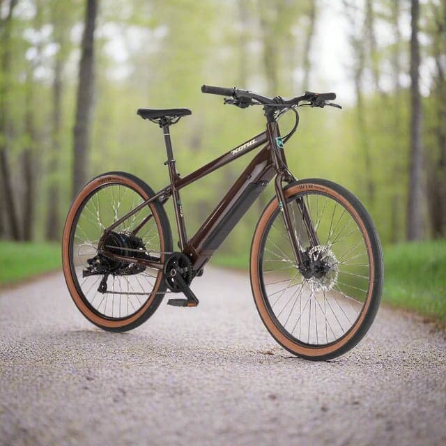 Electric Bike Rentals at Olympic Outdoor Center in Port Gamble