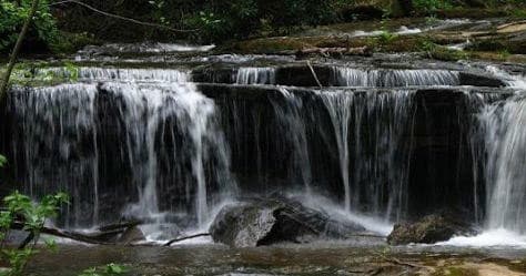 Forest waterfall cascading over rocks in woodland stream