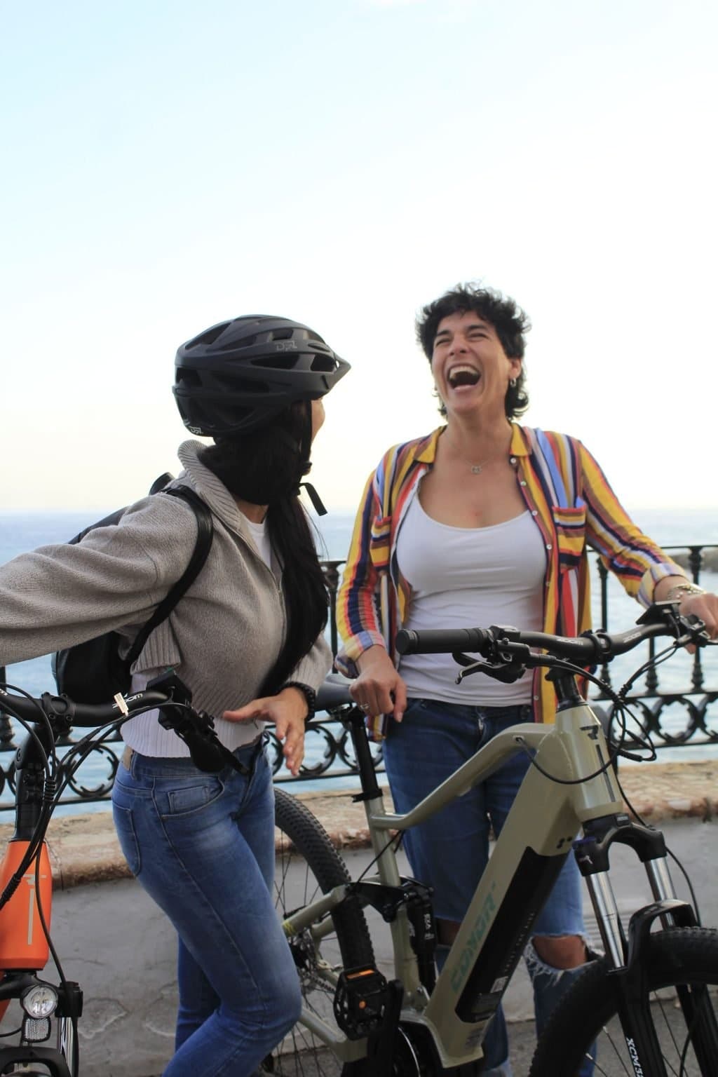 Land Adventures with Granada Alternativa: E-Bike Tour in Granada