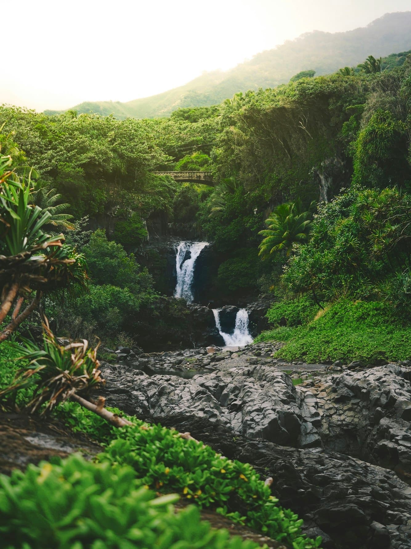 Lush jungle waterfall cascading into rocky pool in rainforest